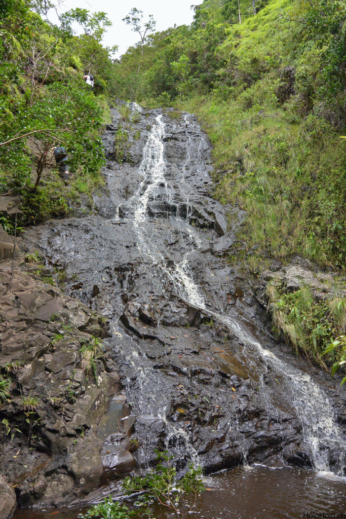 Ka'au Crater Trail