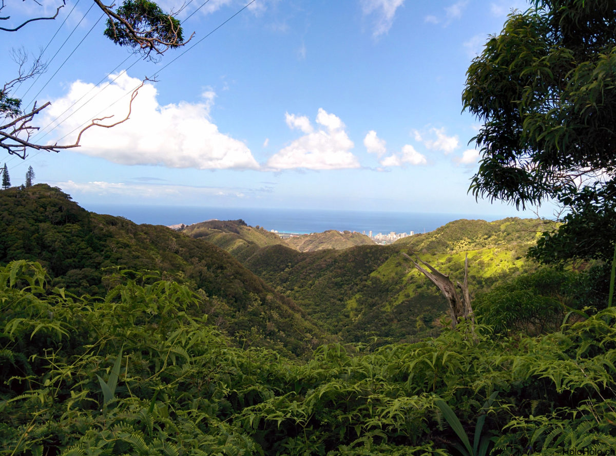 Wiliwilinui Ridge Trail
