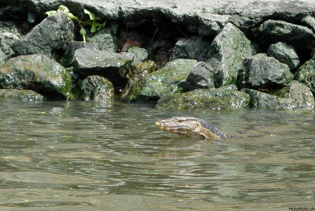 Bangkok