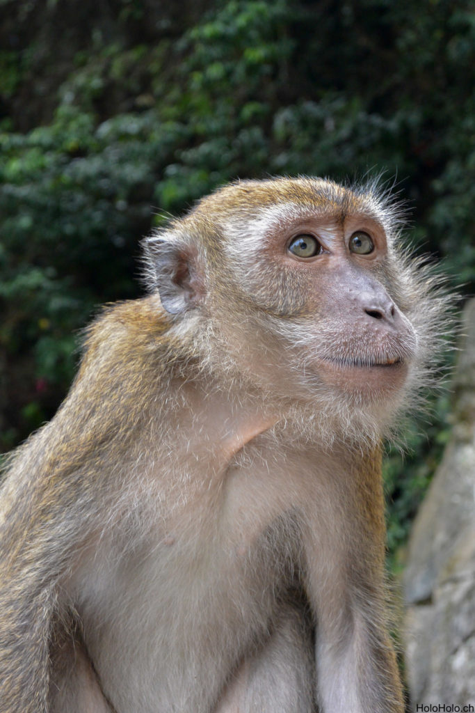 Kuala Lumpur