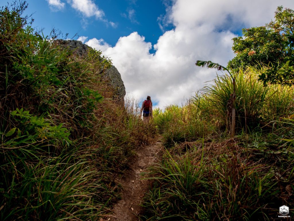 Fiji Wayalailai Trail
