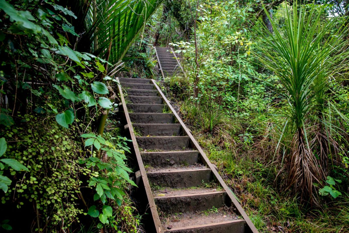 Mount Manaia Wanderung