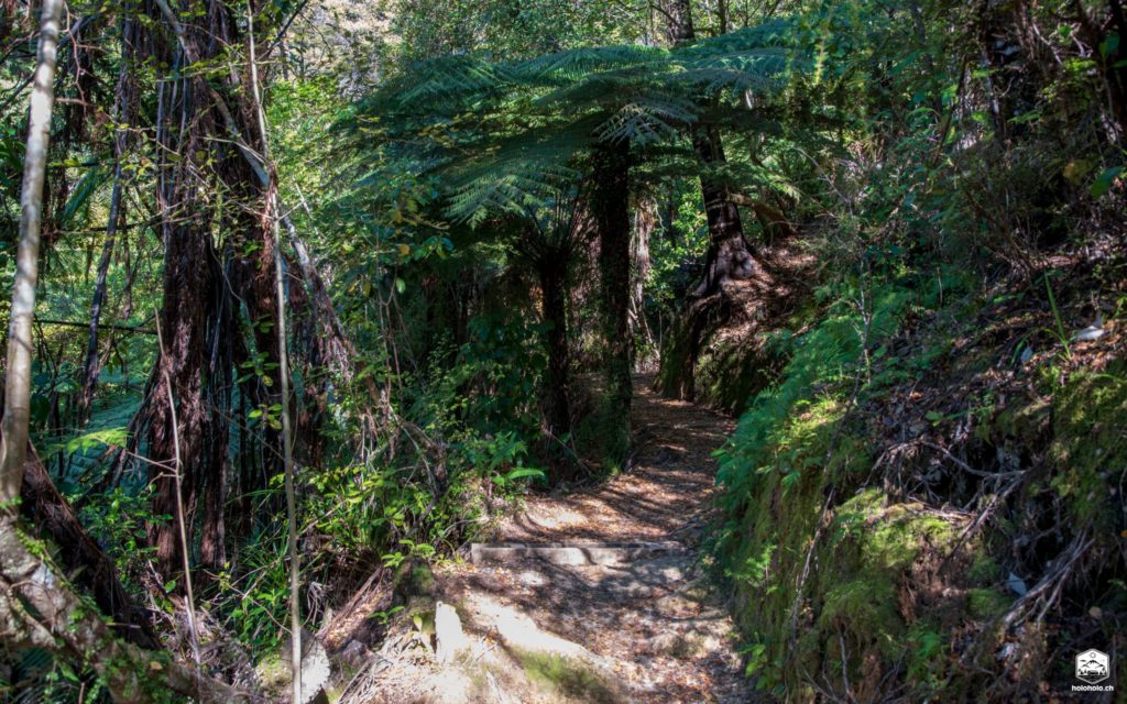 Abel Tasman Nationalpark