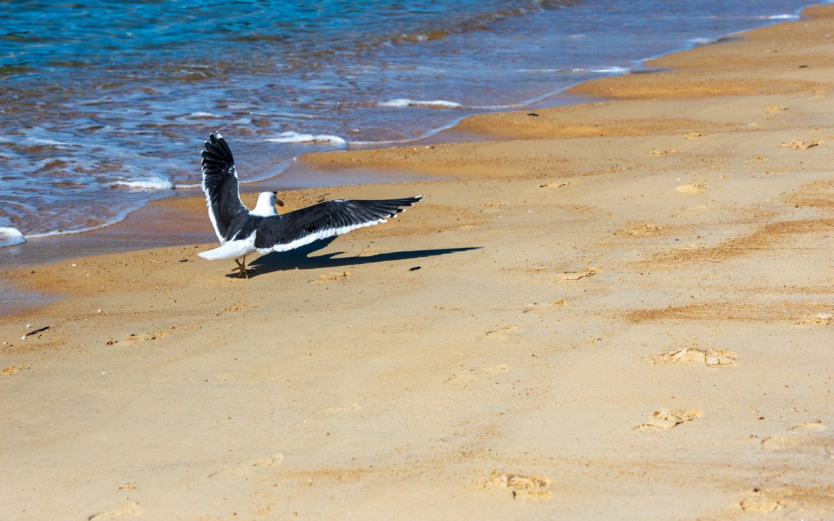 Abel Tasman Nationalpark