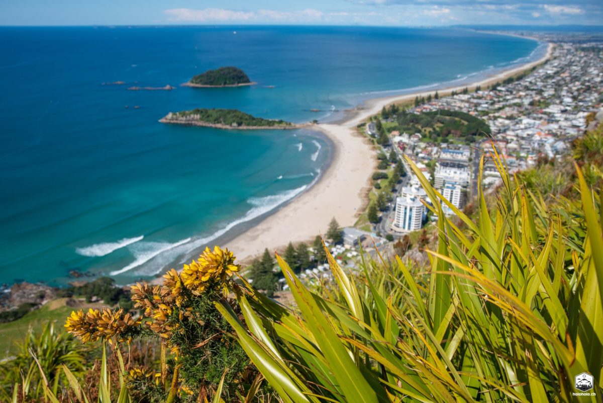 Mount Maunganui der Hügel von Tauranga, Neuseeland Holoholo