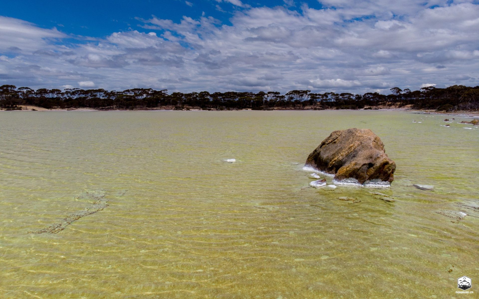 Salmon Gums Green Lake - Australien