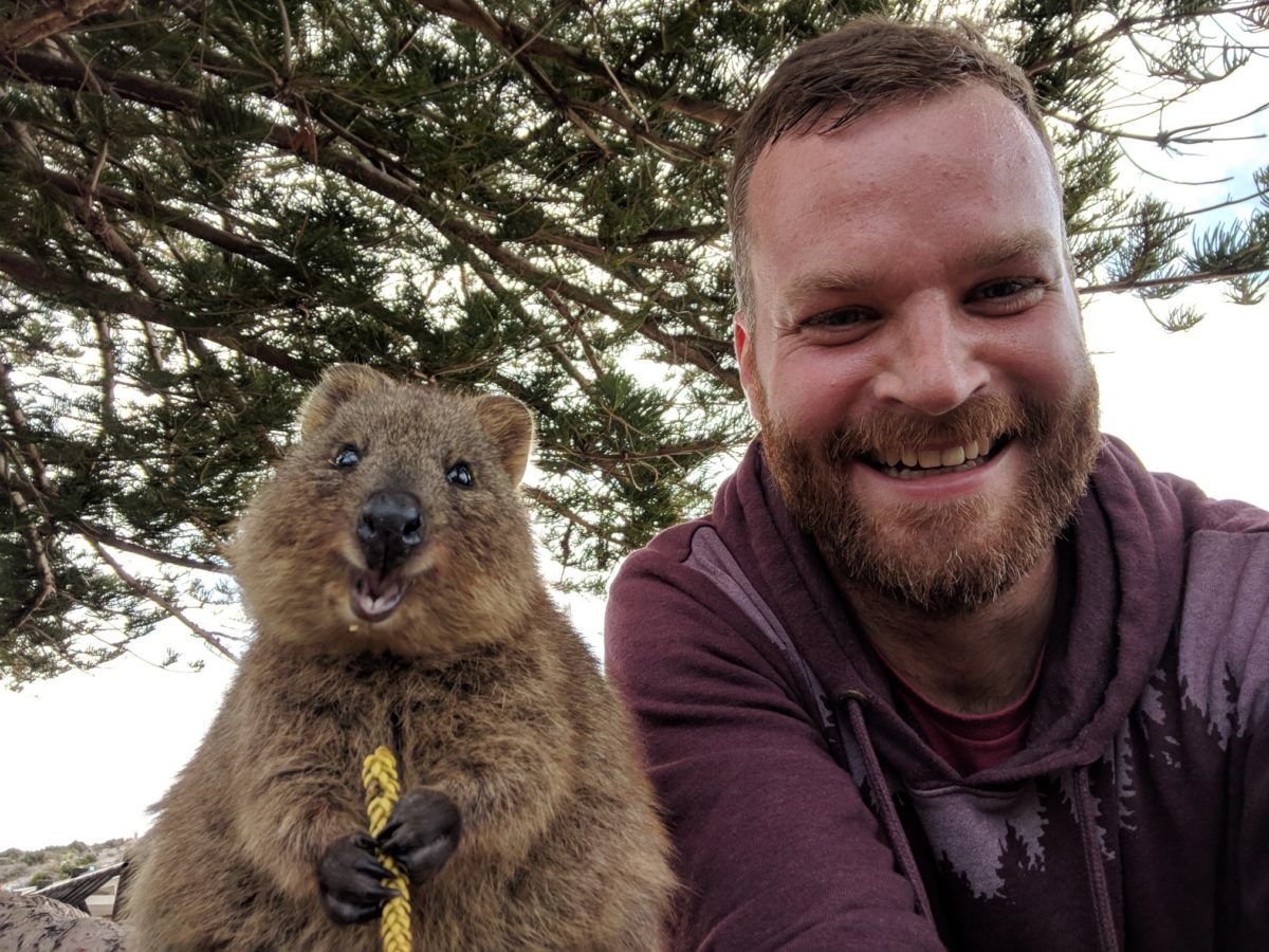 Quokka Selfie auf Rottnest Island