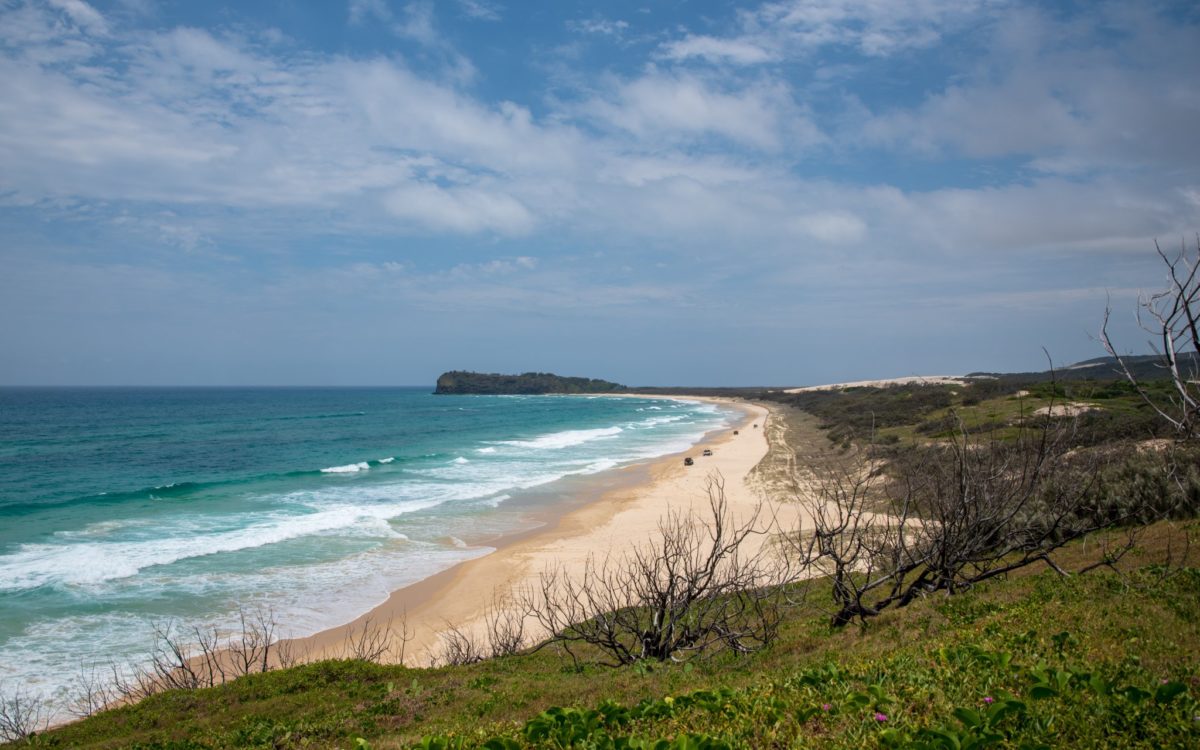 Fraser Island - Indian head