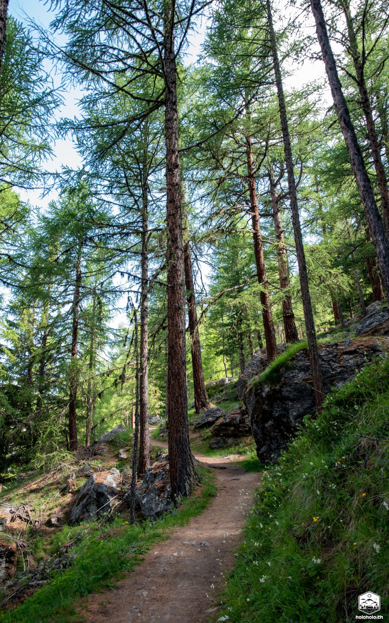 Randa via Europabrücke nach Zermatt Holoholo