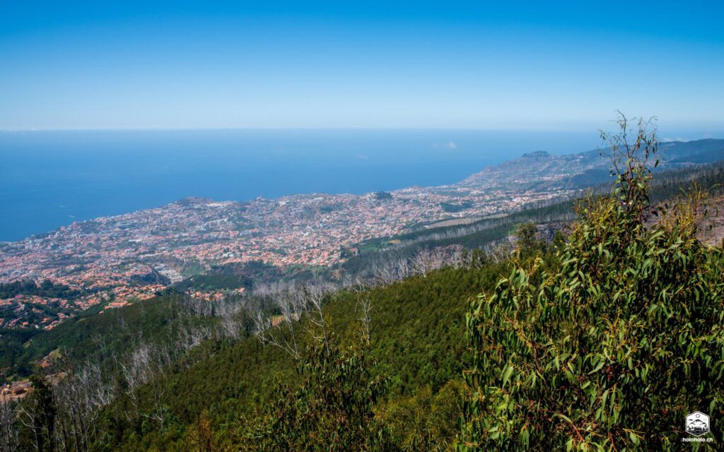 Aussicht auf Funchal vom Pico Alto