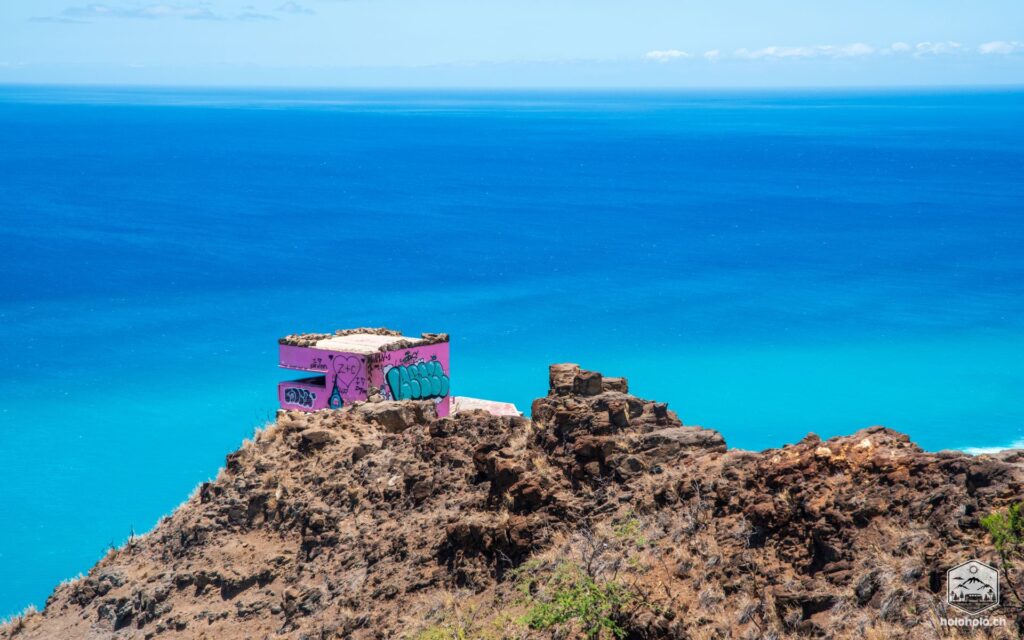 Pink Pillbox