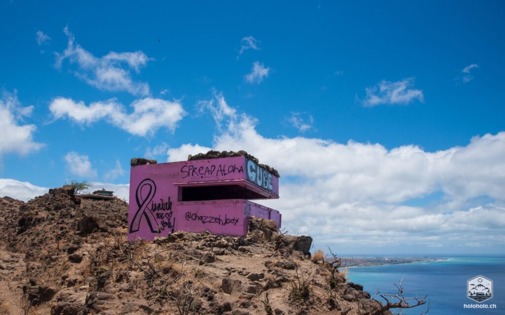 Pink Pillbox Oahu