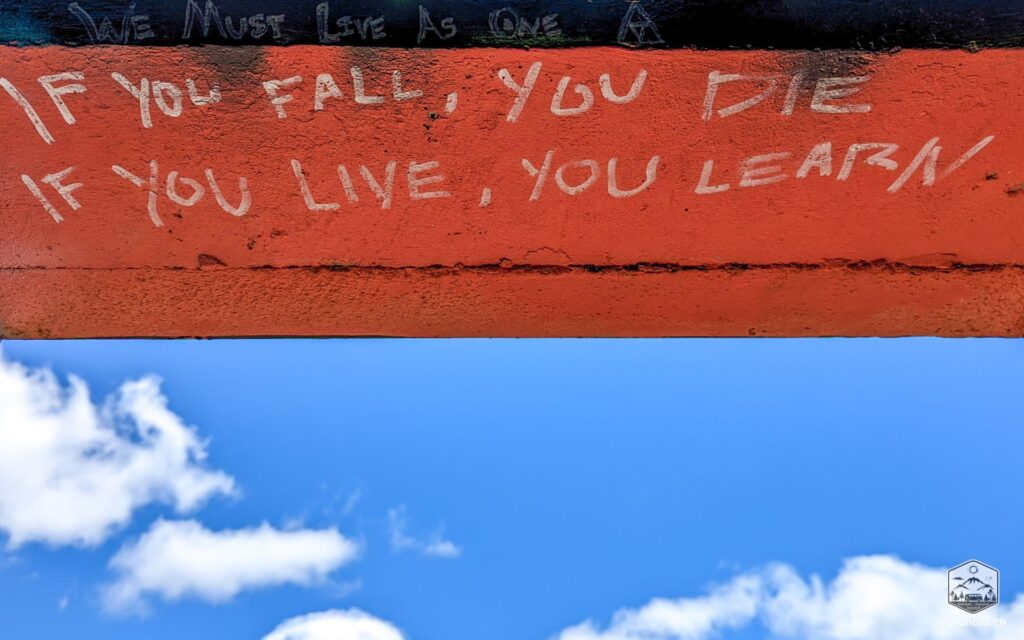 If you fall, you die. If you live, you learn