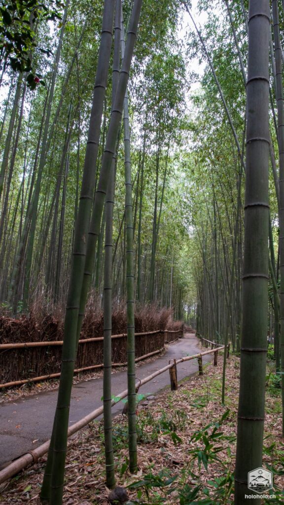 Arashiyama