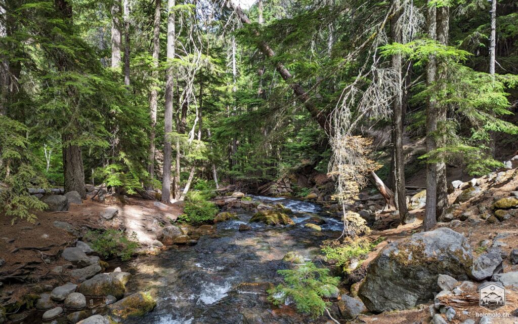 Am Bach entlang