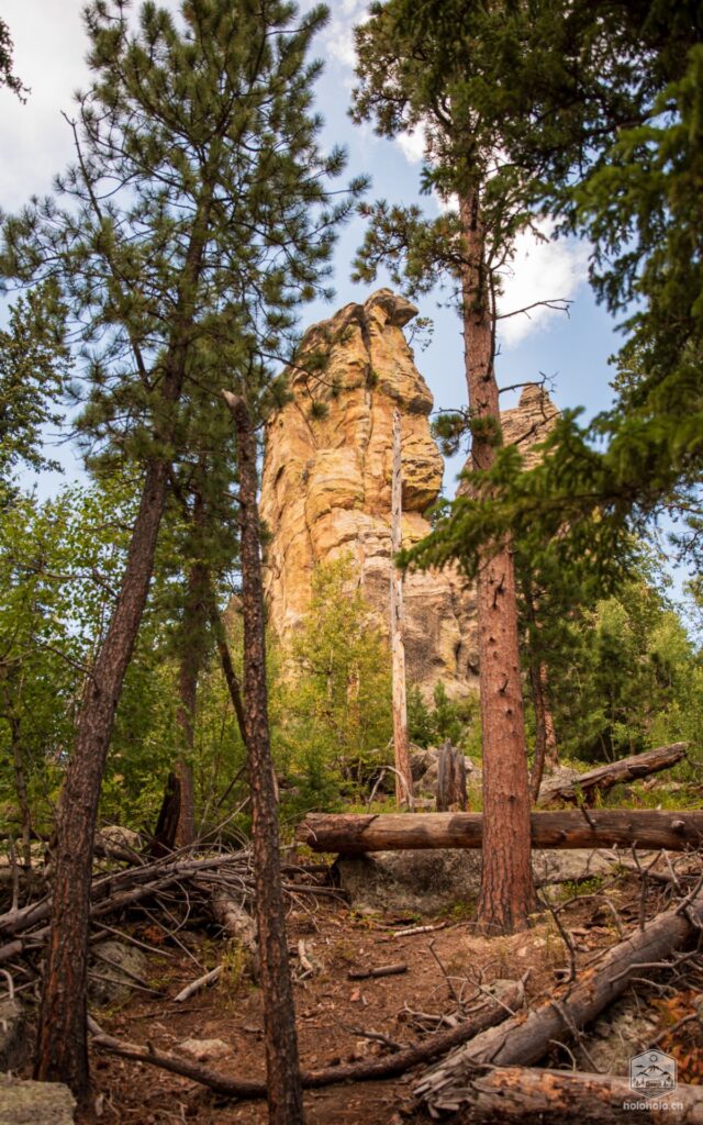 Felsen